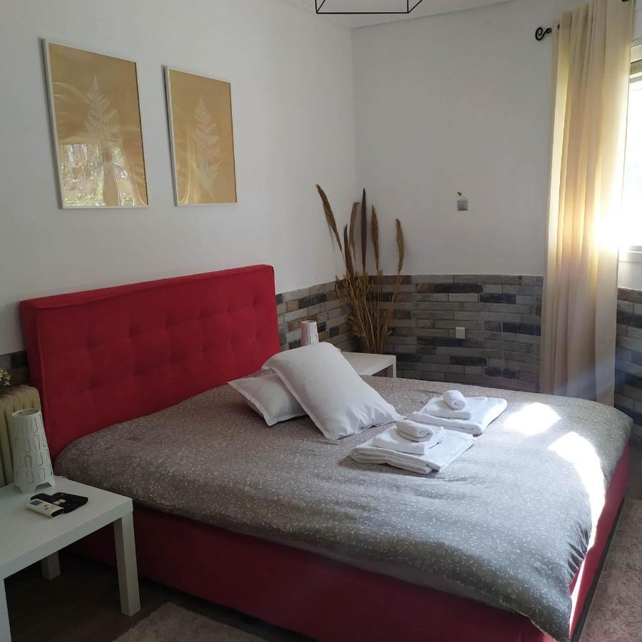 Appartamento Premiumguestkifisia Atene Esterno foto